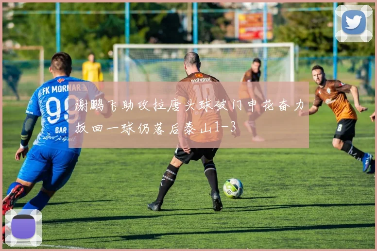 谢鹏飞助攻拉唐头球破门申花奋力扳回一球仍落后泰山1-3