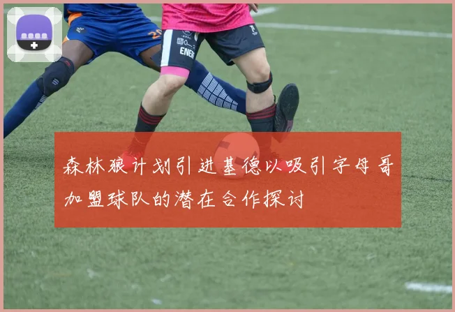 森林狼计划引进基德以吸引字母哥加盟球队的潜在合作探讨